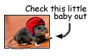 Click your mouse